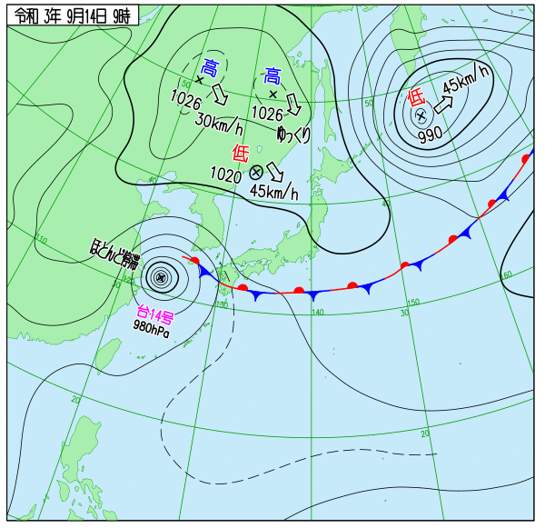 峯岸みなみ 出身中学